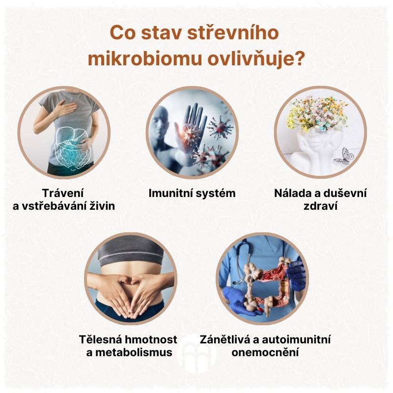 Co stav střevního mikrobiomu ovlivňuje